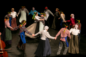 CERKNICA PRAZNIK KULTURE 2016 - Valter Leban-6544